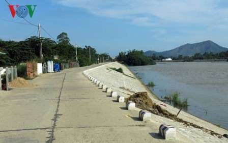 Việt Nam thích ứng với biến đổi khí hậu trong sản xuất nông nghiệp - ảnh 2